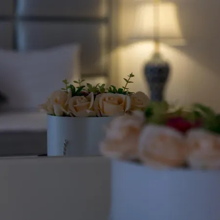 아파트호텔 Phoenicia 마마이아