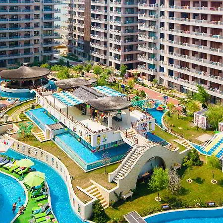 Phoenicia 4*