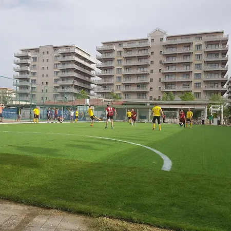 Phoenicia 마마이아