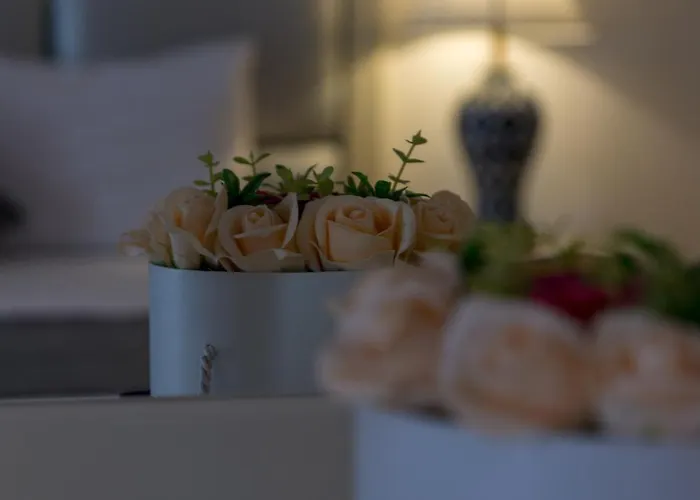 Aparthotel Phoenicia Mamaia